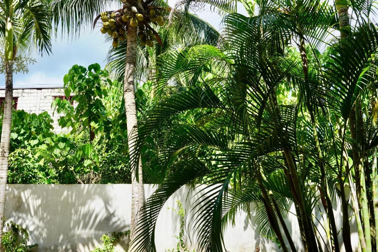 Flower Garden Resort Panglao Exterior photo